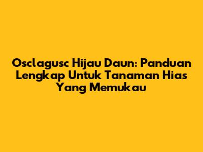Osclagusc Hijau Daun: Panduan Lengkap Untuk Tanaman Hias Yang Memukau