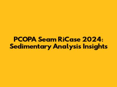 PCOPA Seam RiCase 2024: Sedimentary Analysis Insights