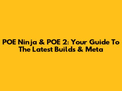 POE Ninja & POE 2: Your Guide To The Latest Builds & Meta