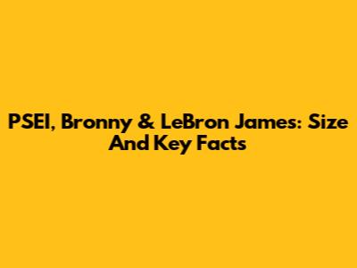 PSEI, Bronny & LeBron James: Size And Key Facts
