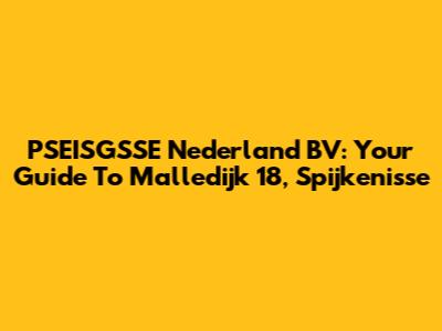 PSEISGSSE Nederland BV: Your Guide To Malledijk 18, Spijkenisse