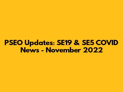 PSEO Updates: SE19 & SE5 COVID News - November 2022