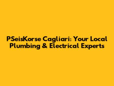 PSeisKorse Cagliari: Your Local Plumbing & Electrical Experts