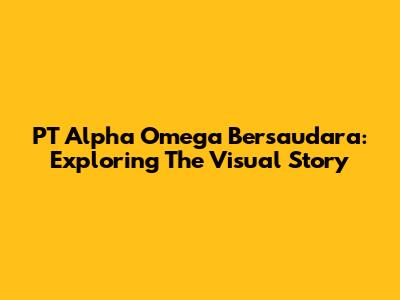 PT Alpha Omega Bersaudara: Exploring The Visual Story