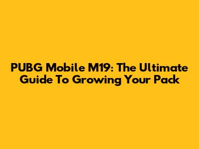 PUBG Mobile M19: The Ultimate Guide To Growing Your Pack