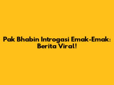 Pak Bhabin 'Introgasi' Emak-Emak: Berita Viral!