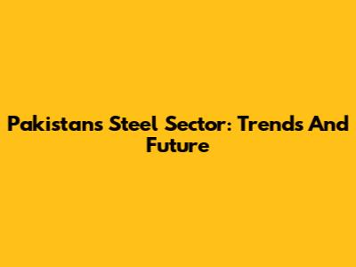 Pakistan's Steel Sector: Trends And Future