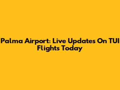 Palma Airport: Live Updates On TUI Flights Today