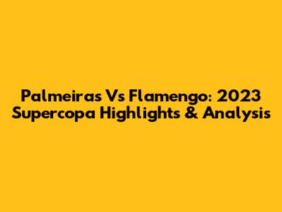 Palmeiras Vs Flamengo: 2023 Supercopa Highlights & Analysis
