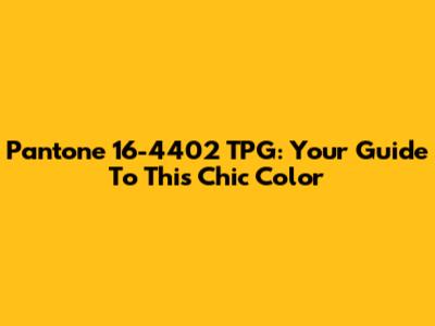 Pantone 16-4402 TPG: Your Guide To This Chic Color