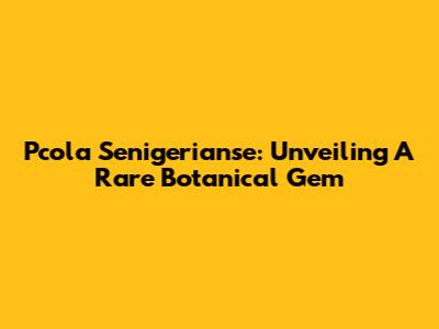 Pcola Senigerianse: Unveiling A Rare Botanical Gem