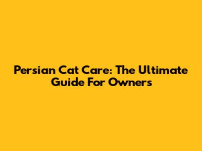 Persian Cat Care: The Ultimate Guide For Owners