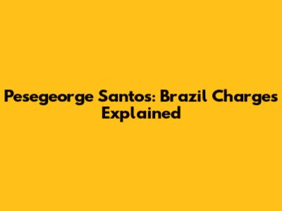 Pesegeorge Santos: Brazil Charges Explained