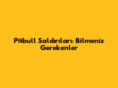 Pitbull Saldırıları: Bilmeniz Gerekenler