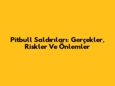 Pitbull Saldırıları: Gerçekler, Riskler Ve Önlemler