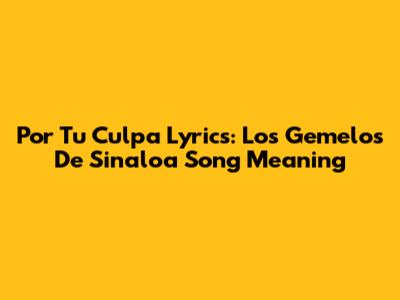 Por Tu Culpa Lyrics: Los Gemelos De Sinaloa Song Meaning