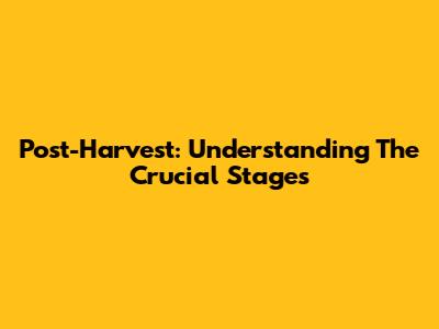 Post-Harvest: Understanding The Crucial Stages