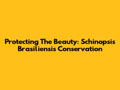 Protecting The Beauty: Schinopsis Brasiliensis Conservation