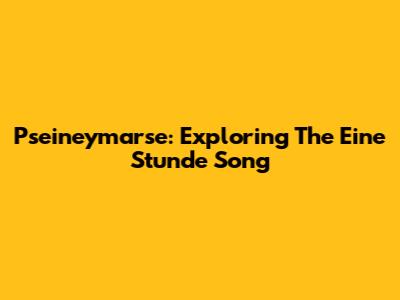 Pseineymarse: Exploring The "Eine Stunde" Song