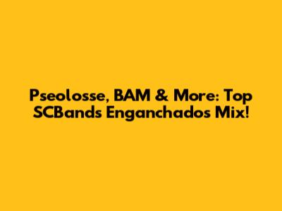 Pseolosse, BAM & More: Top SCBands Enganchados Mix!