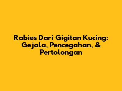 Rabies Dari Gigitan Kucing: Gejala, Pencegahan, & Pertolongan