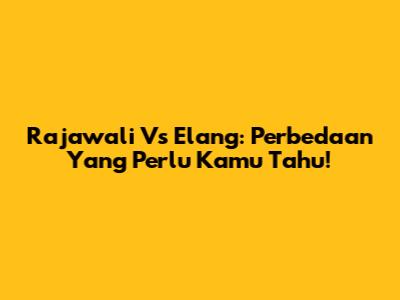 Rajawali Vs Elang: Perbedaan Yang Perlu Kamu Tahu!