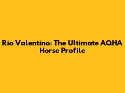 Rio Valentino: The Ultimate AQHA Horse Profile