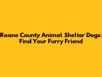 Roane County Animal Shelter Dogs: Find Your Furry Friend