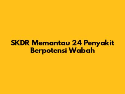 SKDR Memantau 24 Penyakit Berpotensi Wabah