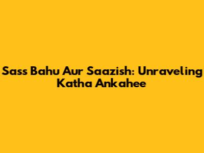Sass Bahu Aur Saazish: Unraveling Katha Ankahee