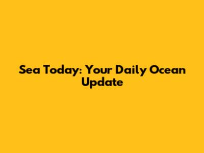 Sea Today: Your Daily Ocean Update