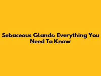 Sebaceous Glands: Everything You Need To Know