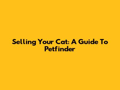 Selling Your Cat: A Guide To Petfinder