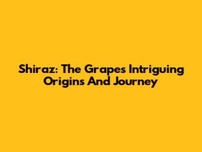 Shiraz: The Grape's Intriguing Origins And Journey