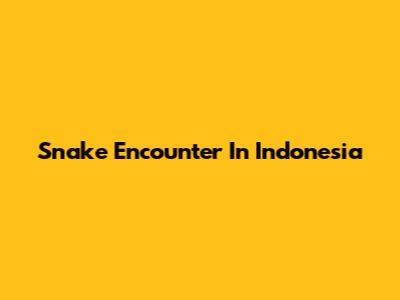 Snake Encounter In Indonesia