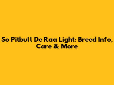 So Pitbull De Raa Light: Breed Info, Care & More