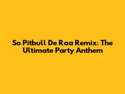 So Pitbull De Raa Remix: The Ultimate Party Anthem