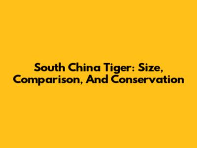 South China Tiger: Size, Comparison, And Conservation