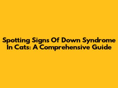 Spotting Signs Of Down Syndrome In Cats: A Comprehensive Guide