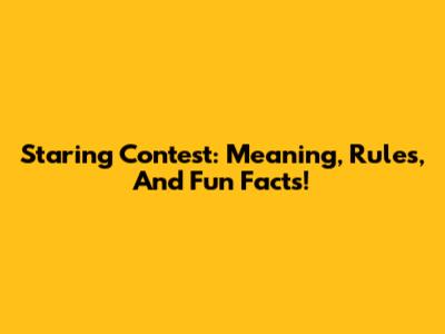 Staring Contest: Meaning, Rules, And Fun Facts!