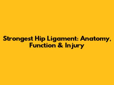 Strongest Hip Ligament: Anatomy, Function & Injury