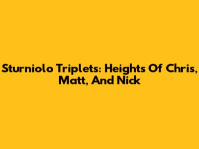 Sturniolo Triplets: Heights Of Chris, Matt, And Nick