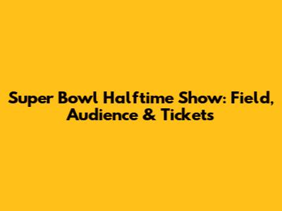 Super Bowl Halftime Show: Field, Audience & Tickets