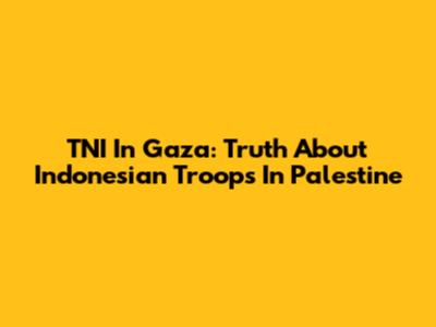 TNI In Gaza: Truth About Indonesian Troops In Palestine