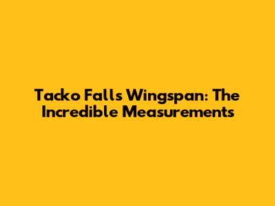 Tacko Fall's Wingspan: The Incredible Measurements