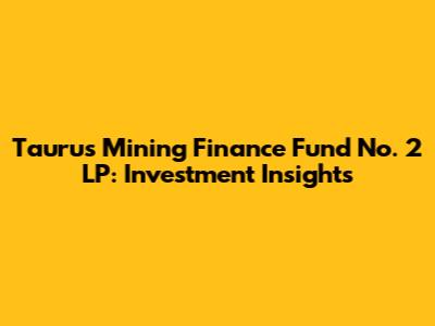 Taurus Mining Finance Fund No. 2 LP: Investment Insights