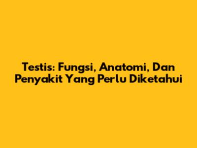 Testis: Fungsi, Anatomi, Dan Penyakit Yang Perlu Diketahui