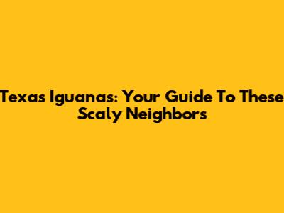 Texas Iguanas: Your Guide To These Scaly Neighbors