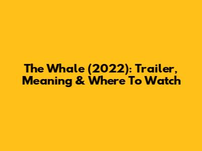 The Whale (2022): Trailer, Meaning & Where To Watch