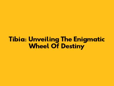 Tibia: Unveiling The Enigmatic Wheel Of Destiny
